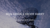 Mijn geniale broer Harry