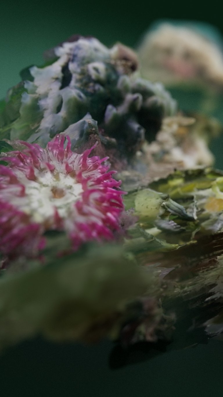 Ghost reef