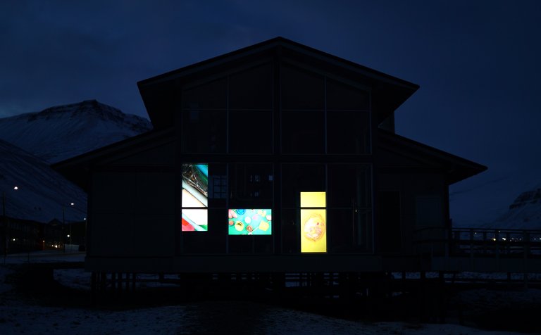 Macada Visual Revolution High Contrast doorzicht projectiefolie